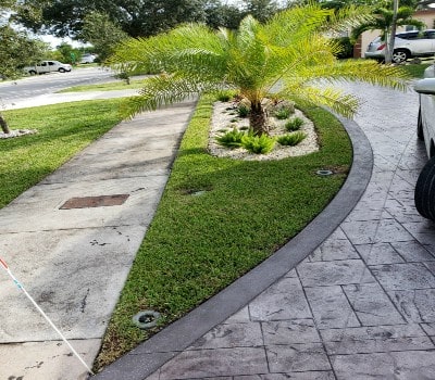 A freshly manicured Homestead front yard with a curved palm bed and trimmed lawn